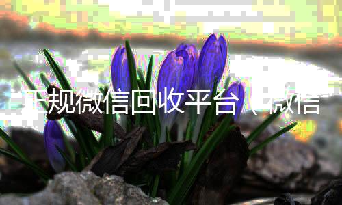 正规微信回收平24小时在线回收vx台（微信回收平台联系方式）
